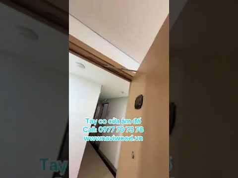 Tay co thủy lực âm đố cửa